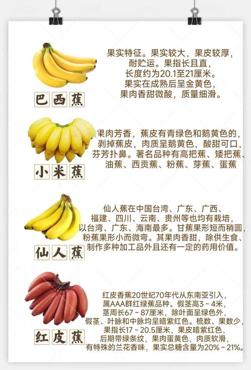 为什么香蕉等5种水果越吃越容易发胖？