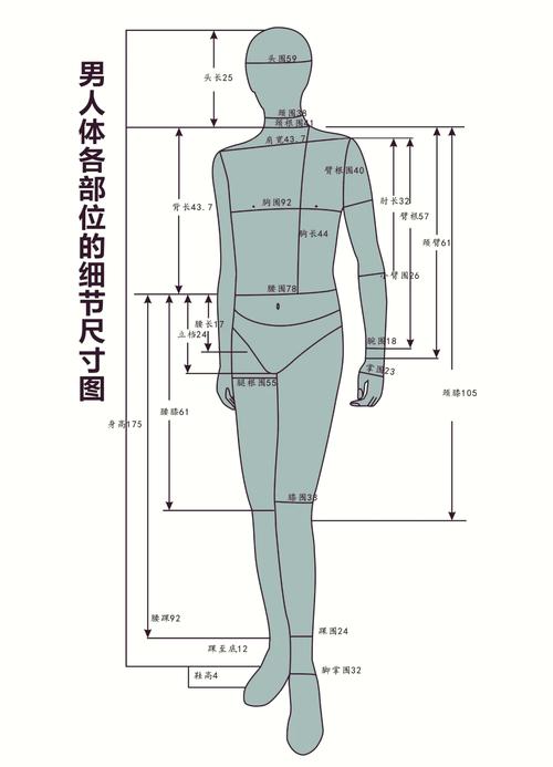 七大尺寸如何决定一个人的健康状况？