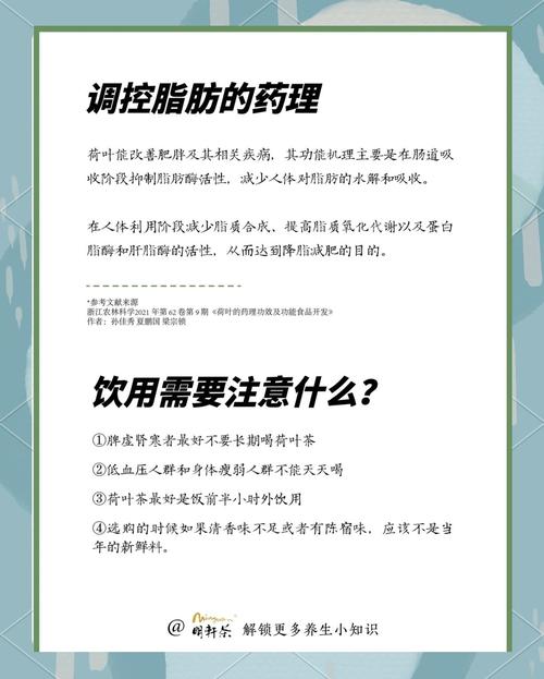 荷叶茶真的有助于减肥吗？效果显著吗？
