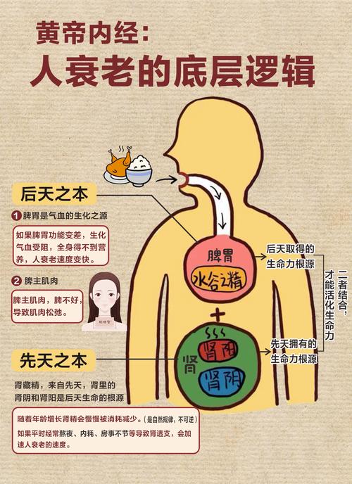为什么每天坚持做5件事，皮肤就能老得慢呢？