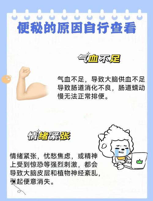 哪些生活习惯会导致容易便秘的人普遍存在相似特点？