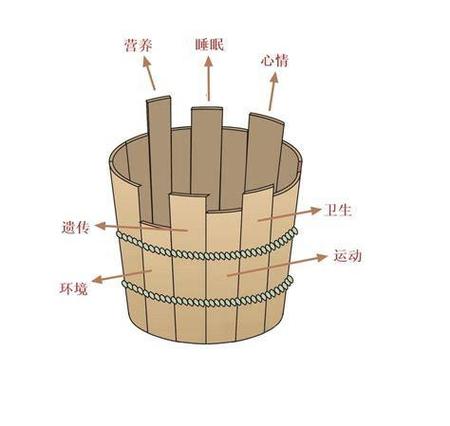 如何将木桶变成水蛇的神奇方法？