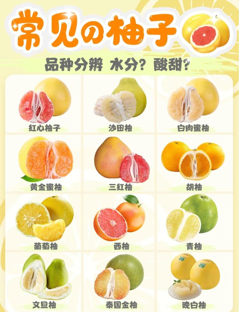 为什么柚子、梨等五种水果不能多吃呢？
