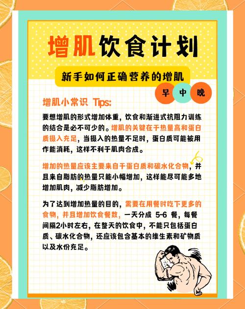 如何通过均衡三餐摄入蛋白质来有效长肌肉呢？