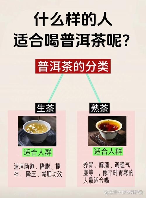 普洱茶减肥效果如何？长期饮用对身体健康有影响吗？