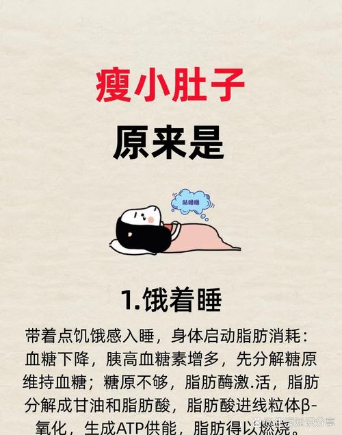 常吃外卖小肚子怎么通过6个动作有效减掉？
