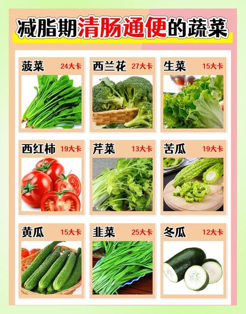 有哪些食物可以帮助我更有效地排泄体内脂肪呢？