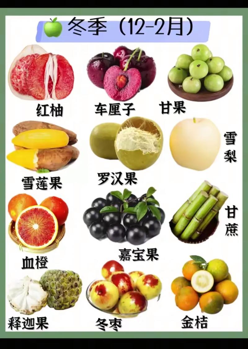 秋季推荐水果排行榜上都有哪些水果呢？
