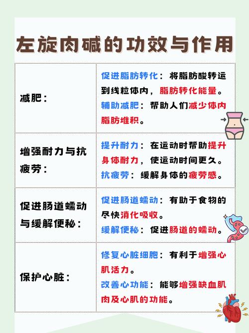 左旋肉碱真的能一箩筐谎言吗？