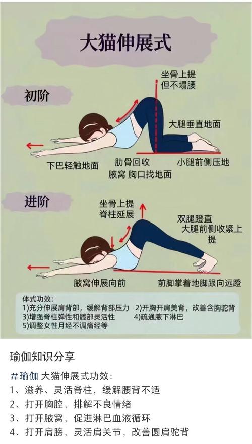 伸展运动有哪些显著好处？