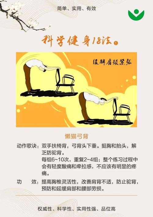 如何准确判断什么是真正有效的科学锻炼方法？