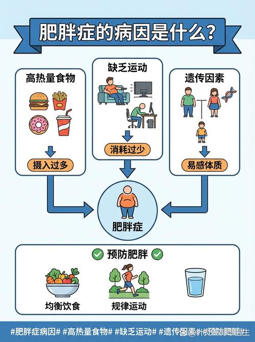 肥胖的主要原因有哪些？是遗传、饮食、运动还是心理因素？
