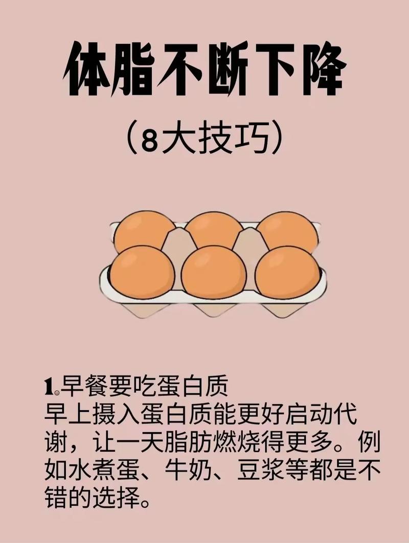 如何通过科学方法有效降低脂肪率，避免超标？