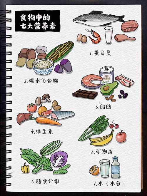 营养素究竟都藏在哪些食物中呢？