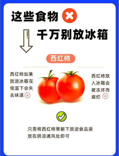 大蒜西红柿放冰箱保鲜还是不保鲜？食物保鲜方法全解析？