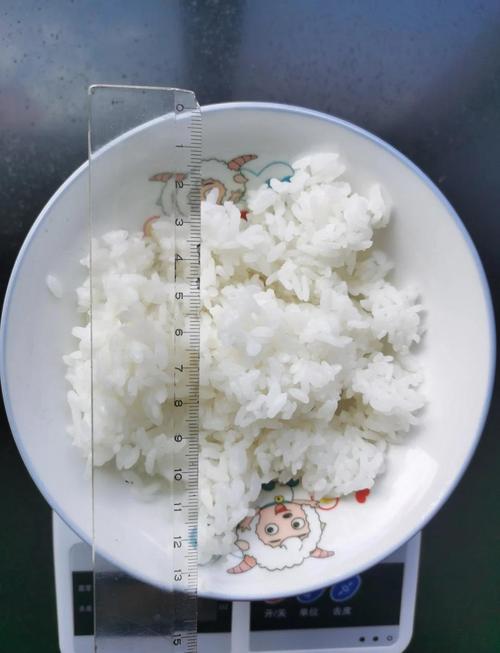 长期只吃米饭真的能帮助减肥吗？