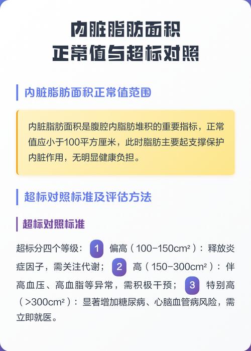 如何判断我的内脏脂肪是否已经超标了呢？