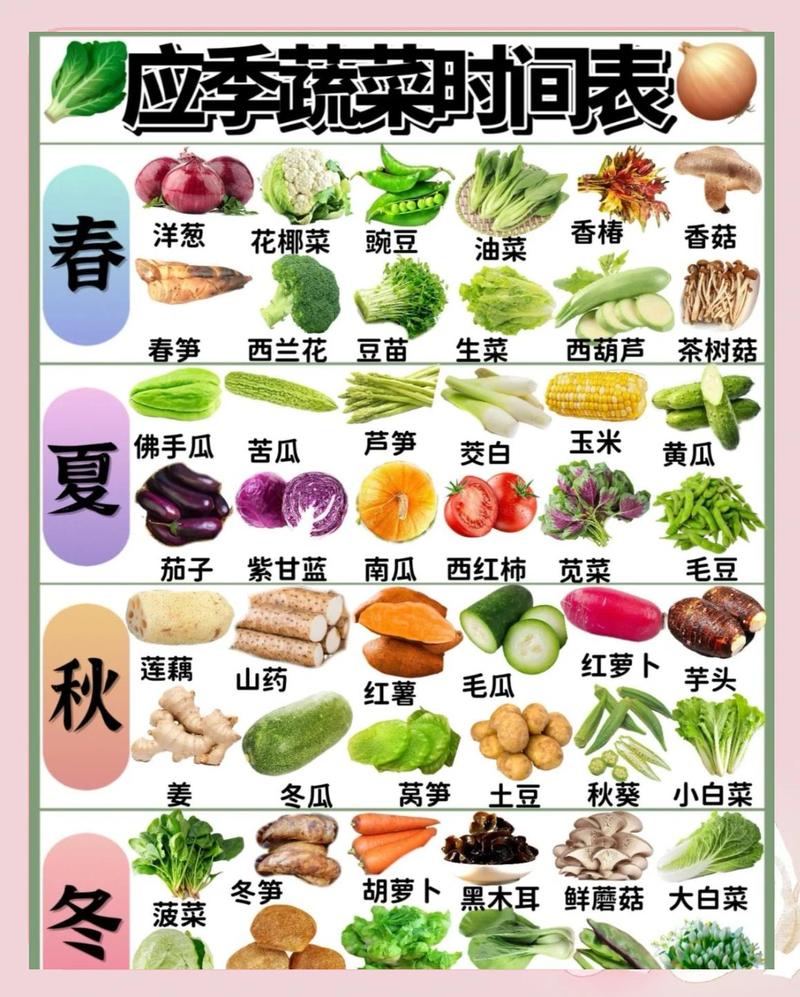 冬季适合胖人食用的蔬菜有哪些推荐？