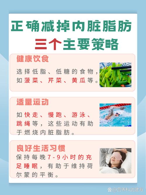 3CM脂肪厚度的腹部如何才能最健康地减脂？