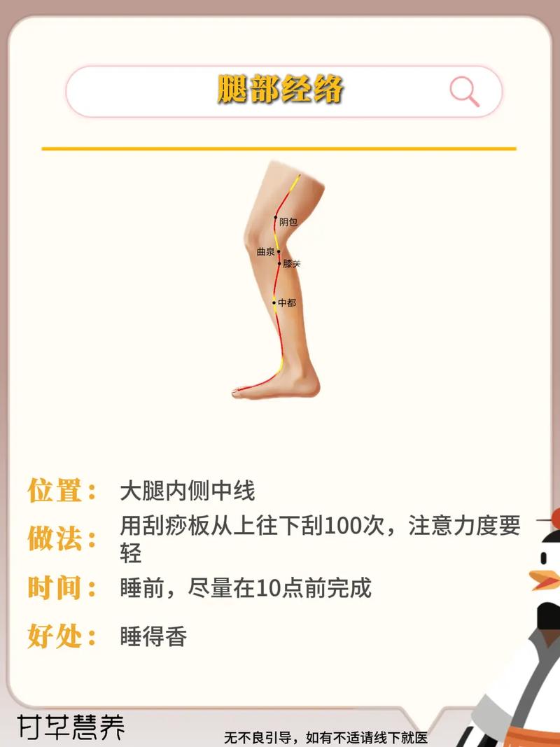 中医刮痧法能简单打造纤纤玉腿吗？