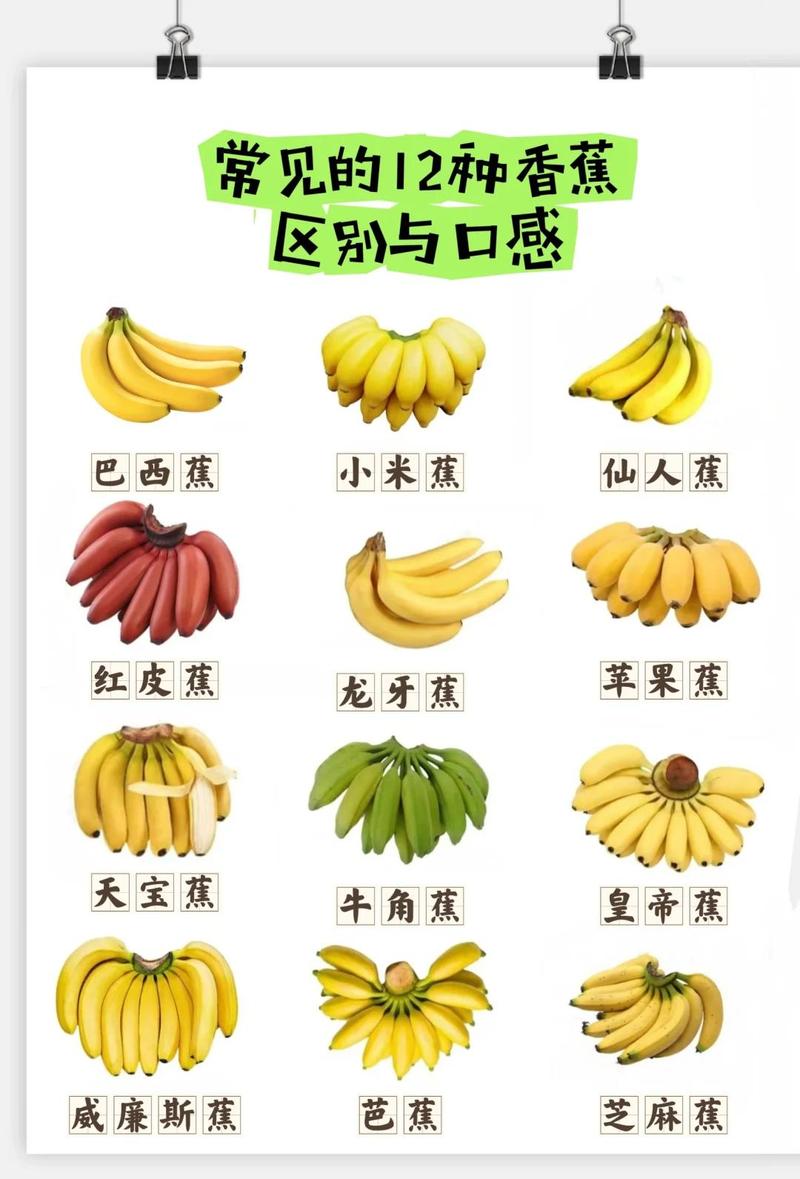 为什么香蕉等5种水果越吃越容易发胖？