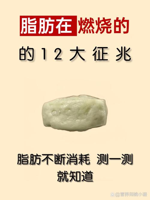 脂肪燃烧的真相是什么？为什么运动后体重不下降？