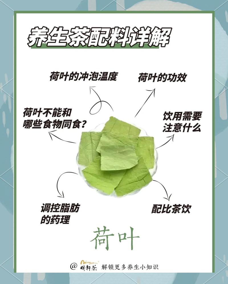 荷叶茶真的有助于减肥吗？效果显著吗？