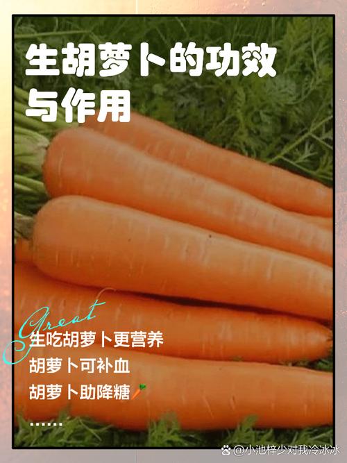 美味胡萝卜真的能瘦身并且有奇效吗？