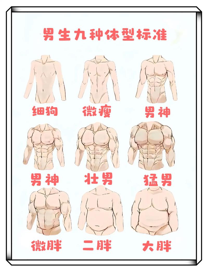 男人眼中，哪种体型可以被称为最完美呢？