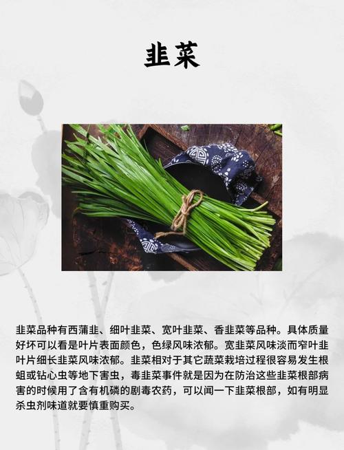 韭菜减肥法真的能持续瘦身不反弹吗？
