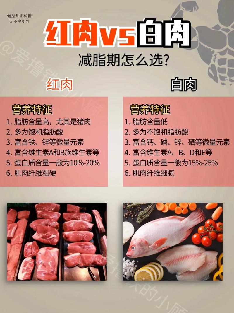 如何挑选并正确食用肉类，帮助减肥者健康减脂？