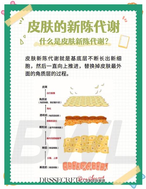 为什么说5大误区会干扰新陈代谢呢？