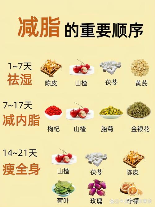 夏日减肥，有哪些中药可以助我瘦身呢？