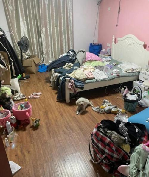房间脏乱差是否会导致女性更容易发胖？