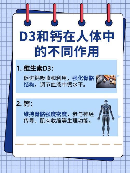 补充钙和维生素D真的能帮助减肥吗？