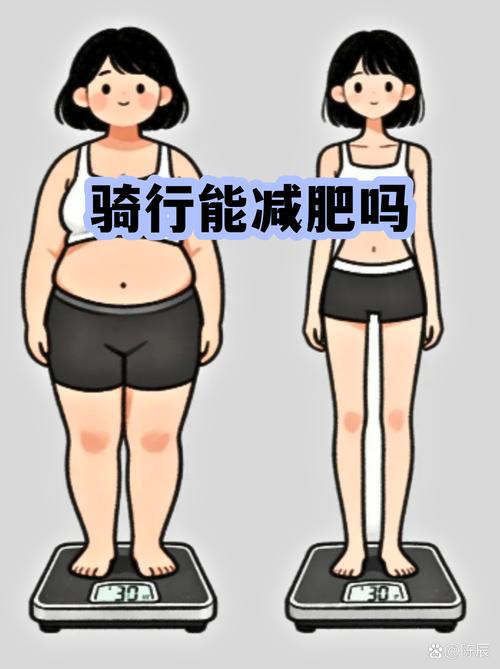 俄胖猫和主人一起骑行锻炼，真的能减肥成功吗？