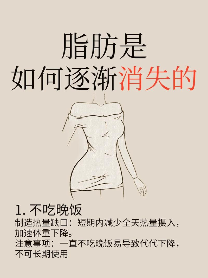 减肥过程中，身体里的脂肪究竟是如何被分解并消失的？