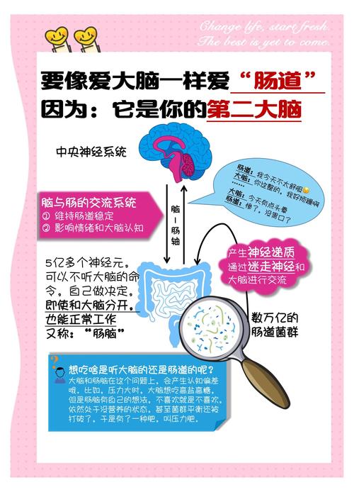 人的肠道真的是第二大脑吗？肠道有哪些不为人知的秘密呢？