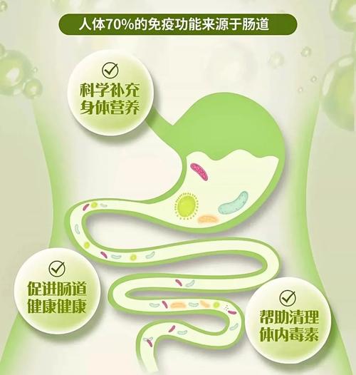 如何通过活性菌净化肠胃达到减肥美容养颜的效果？