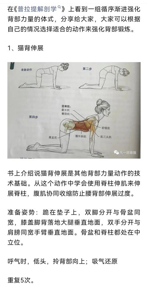 如何通过五个动作有效美化背部曲线？
