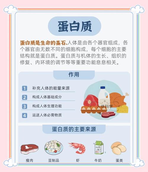 白领女性日常饮食中，哪些八大营养素是必须补充的呢？