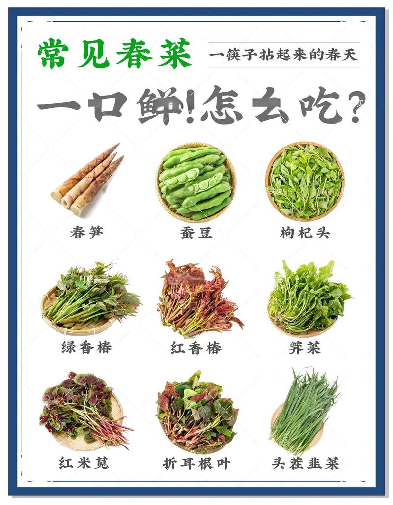 春天吃哪些美人食材，能让我从内而外美得自然？