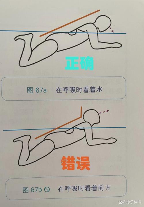舒马赫的减肥秘诀，为何从蛙泳改为其他运动？