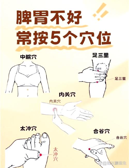 每天按摩能帮助蠕动肠胃瘦肚腩吗？