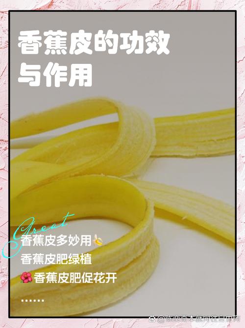 香蕉皮真的能帮助减肥并且对健康有益吗？