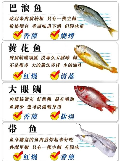 秋季有哪些美味海鱼既能满足挑剔味蕾又助减肥呢？