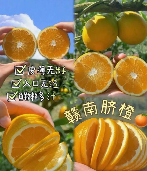 吃橙子真的能减肥又营养健康吗？