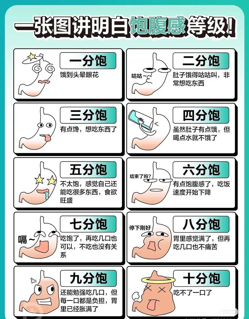 如何准确描述自己吃到了七分饱时的具体感觉？