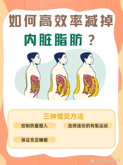 夏天露肉季，如何先击退身体上的3大脂肪重灾区？
