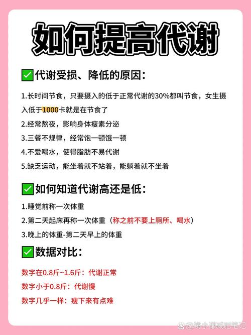 为什么人体代谢速度越快，减肥效果就越显著？